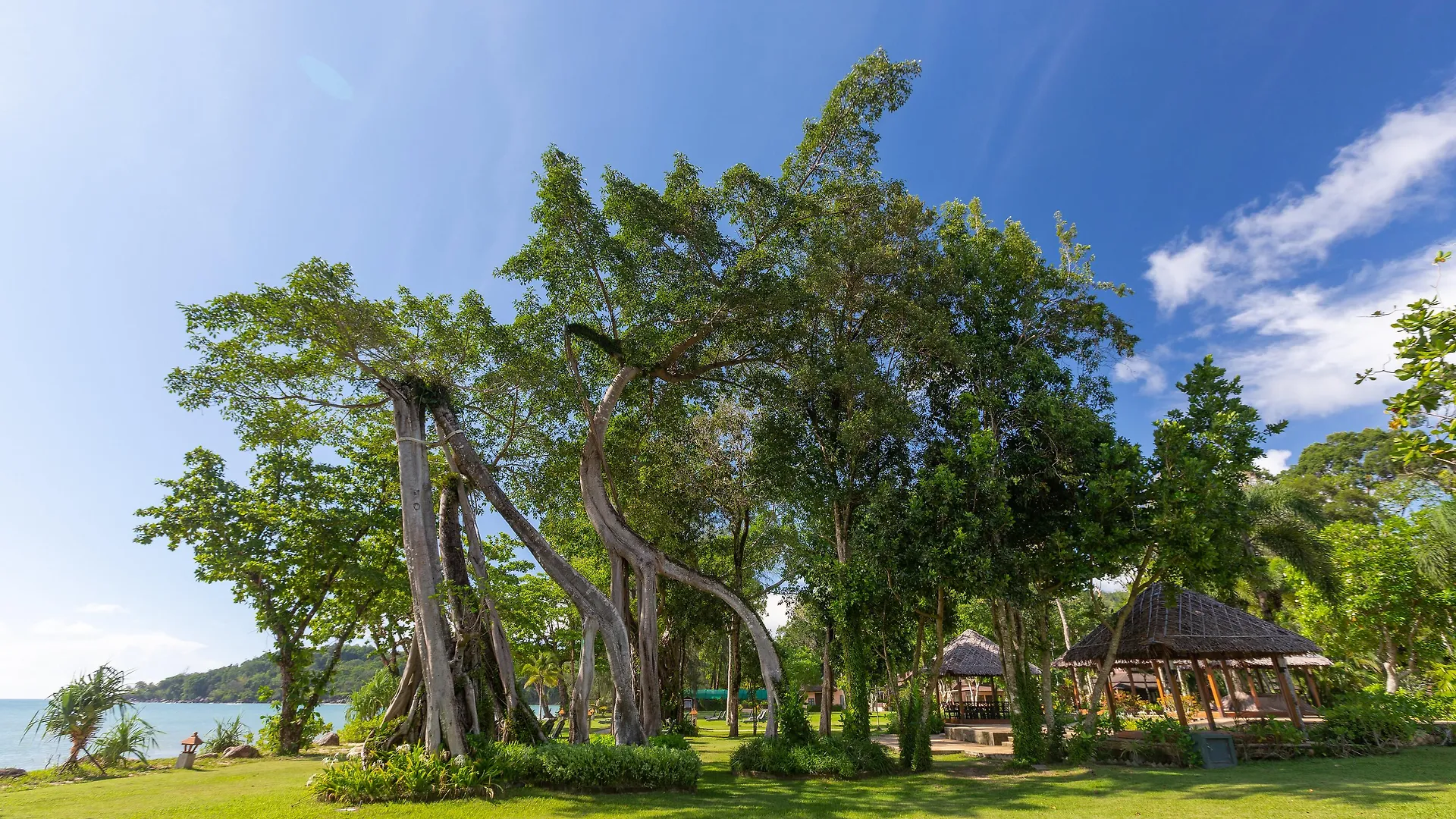 קאו לק Khaolak Merlin Resort  קאו לק